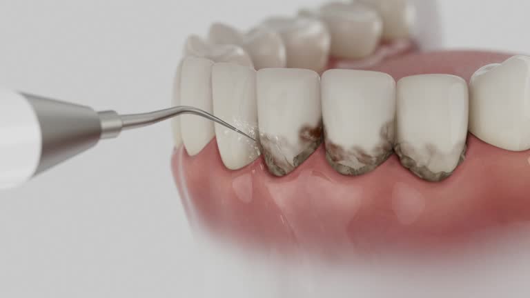 Reliable Dental contractor in Balm, FL by Dentist Open Now